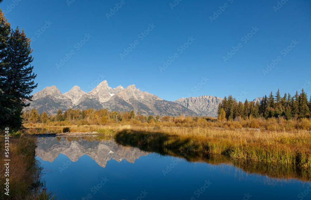 Scenic Reflection Landscape in Grand Teton National Park in Autumn
