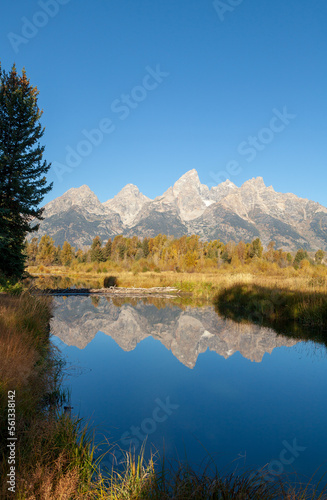 Scenic Reflection Landscape in Grand Teton National Park in Autumn © equigini
