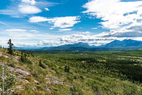Views over the are outside of Whitehorse, Yukon Territory, off the Alaska Highway in mid-summer with beautiful blue sky and clouds. 