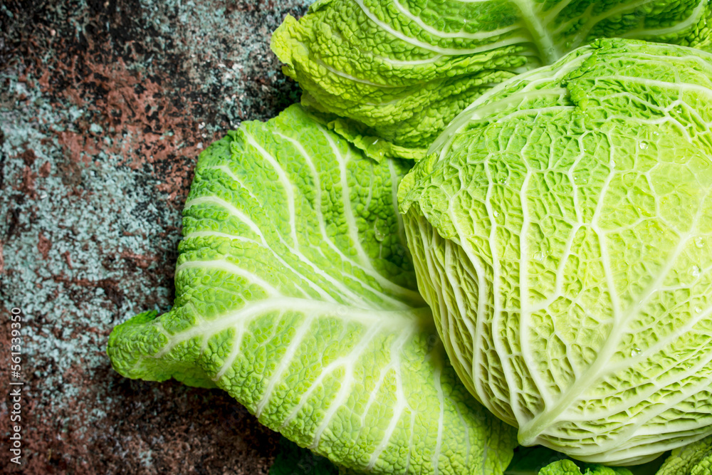 Obraz premium Juicy green cabbage.