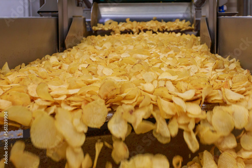 Closeup view of golden chips coming from fryer macnine.