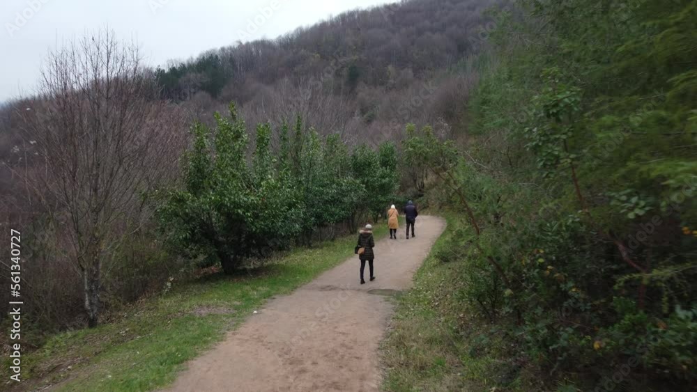 People walking in forest in winter day aerial view. Walking in nature. Leisure time activity. People walking in forest in winter day aerial view. Walking in nature. Leisure time activity.