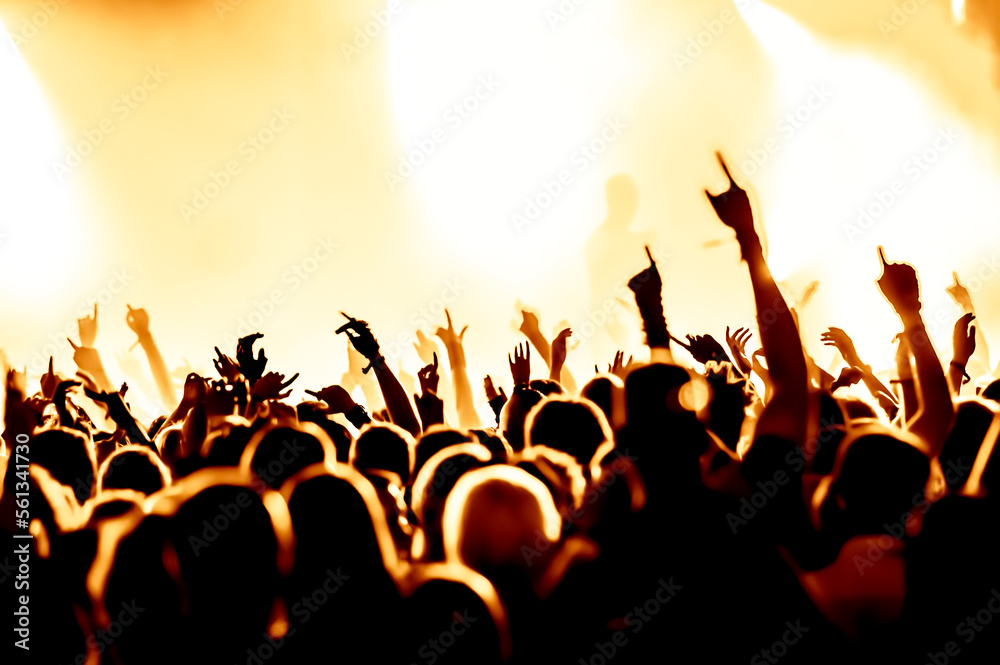 Fototapeta premium concert crowd at rock concert