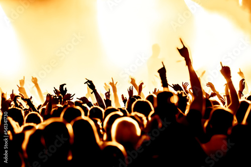 concert crowd at rock concert