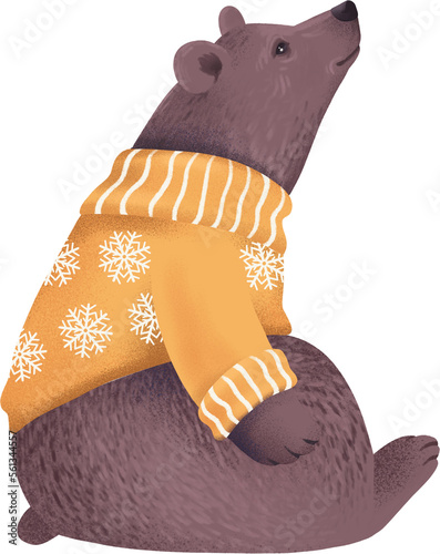 Bear illustration, cute, sweater