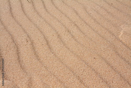 Background with waves of sand macro photography