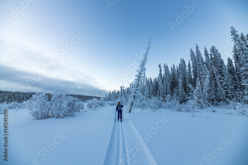 One person skiing on cross country ski trails during winter time on beautiful blue sky day. 