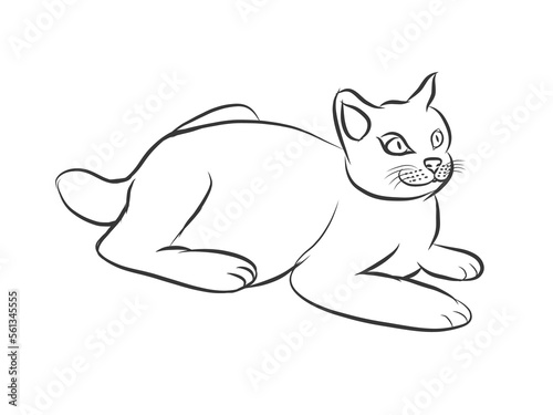 Ilustration of a cat