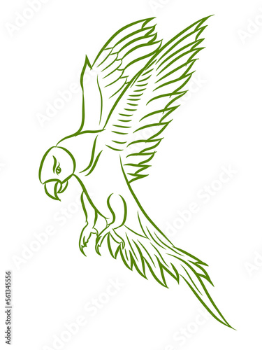 illustration of a bird