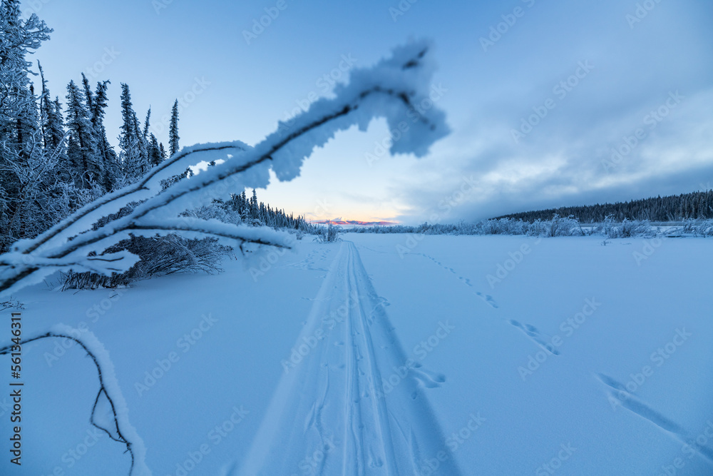 Obraz premium Snowy winter wonderland views at sunset with frosty bushes and trees. Taken in Yukon Territory, Canada. 