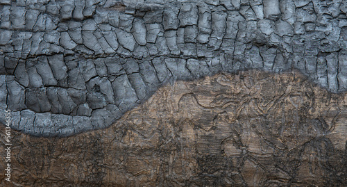 Charred and cracking wood grain abstract background