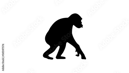chimpanzee silhouette