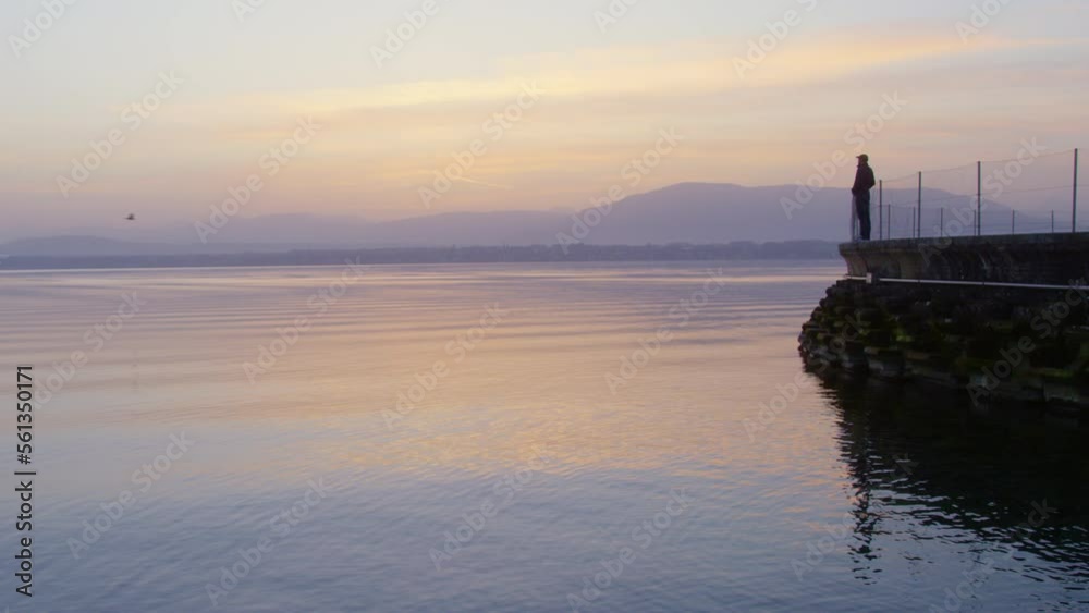 A man contemplates Lake Geneva at sunrise, a bird flies over the water, in Switzerland A man contemplates Lake Geneva at sunrise, a bird flies over the water, in Switzerland