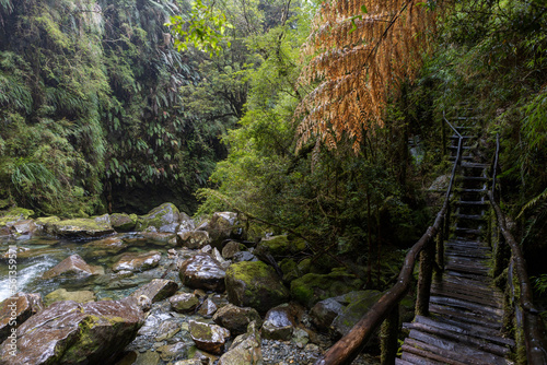 Hiking the Sendero Cascadas Escondidas in the Parque Nacional Pumalín Douglas Tompkins in Patagonia, Chile 