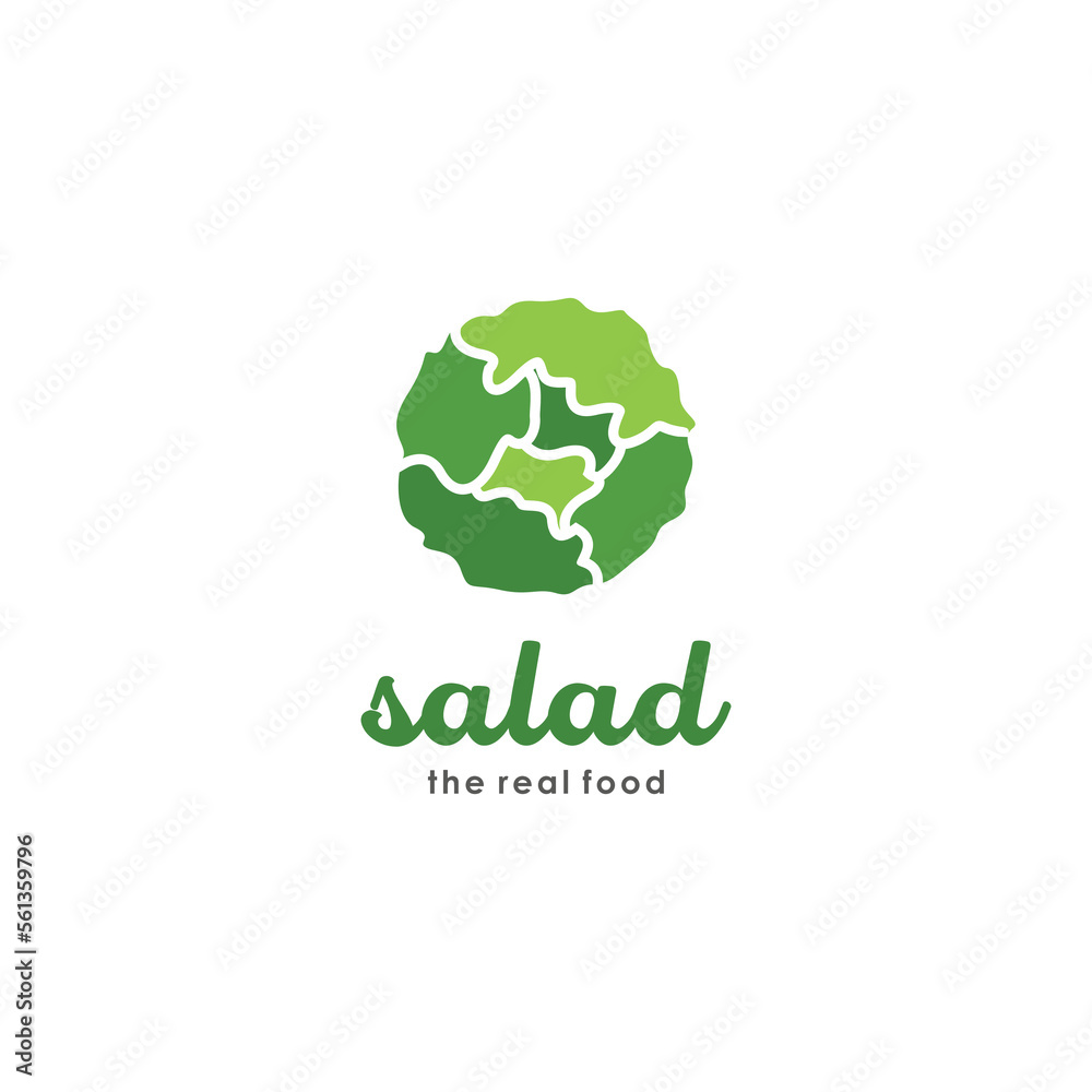 Salad Healthy Bowl Illustration Vector, Salad bowl fresh organic food, salad vegan lifestyle, salad vector
