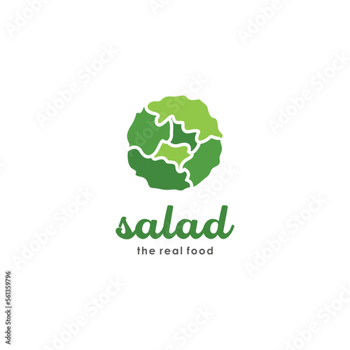 Salad Healthy Bowl Illustration Vector, Salad bowl fresh organic food, salad vegan lifestyle, salad vector
