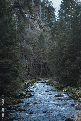 Rzeka w Tatrach photo