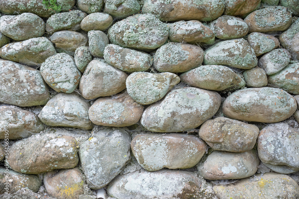 dry stone wall constructed from river stone dry stone wall constructed from river stone