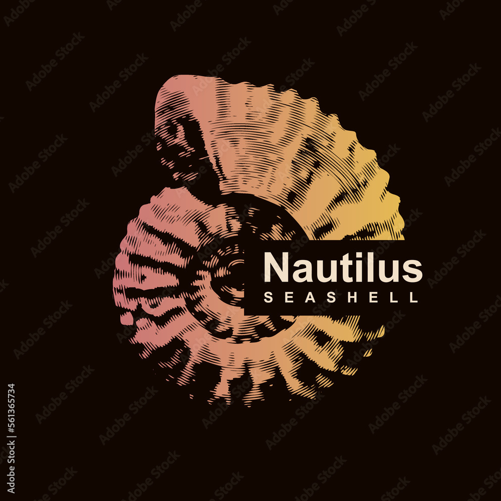 vector logo sign with drawing of ancient petrified ammonite shells or
