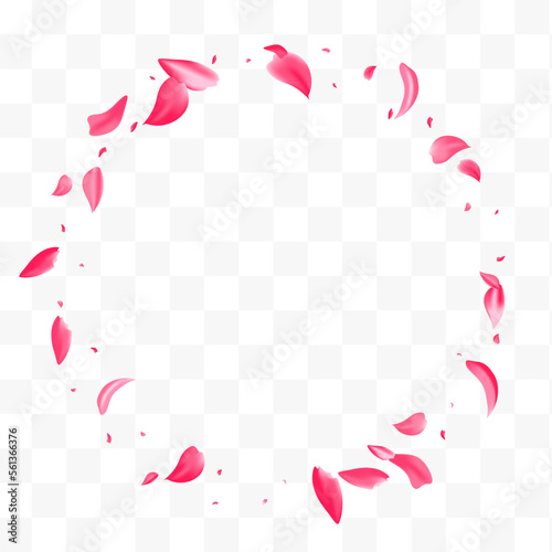 Delicate Floral Spring Vector Transparent