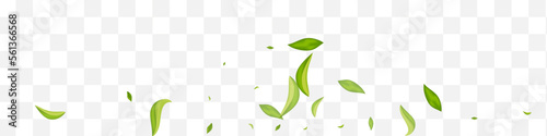 Olive Greens Forest Vector White Panoramic
