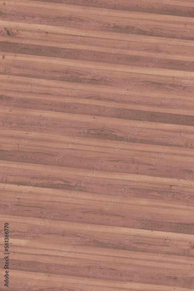 brown maple wood tree timber backdrop texture structure surface brown maple wood tree timber backdrop texture structure surface