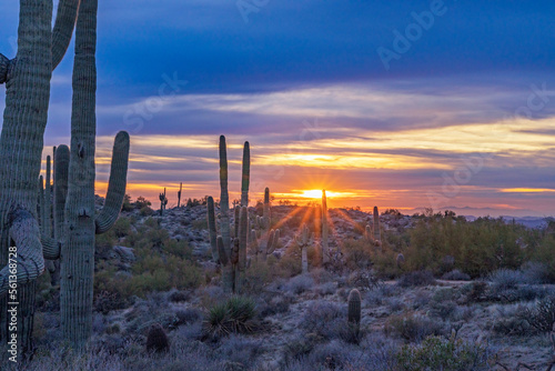 Setting Sun In The Arizona Desert © Ray Redstone
