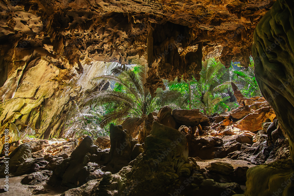 Landscape of cave and tree Hup Pa Tat, Uthai Thani, Thailand