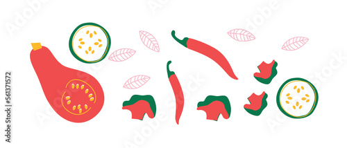 Vector Organic vegetables template. Set of juicy vegetables in cartoon style . Healthy lifestyle, vegetarianism