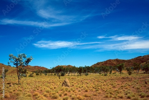 Landscape with red hills, yellow grass, termite mound and blue sky - Kimberley, Western Australia