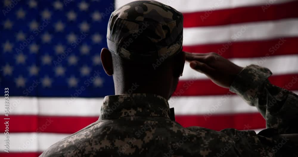 Rear View Of Military Man Saluting Us