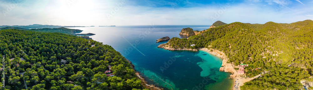 Aerial view of Cala Saladeta, Ibiza islands, Spain - obrazy, fototapety, plakaty 