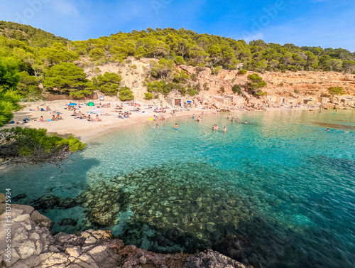 Aerial view of Cala Saladeta  Ibiza islands  Spain