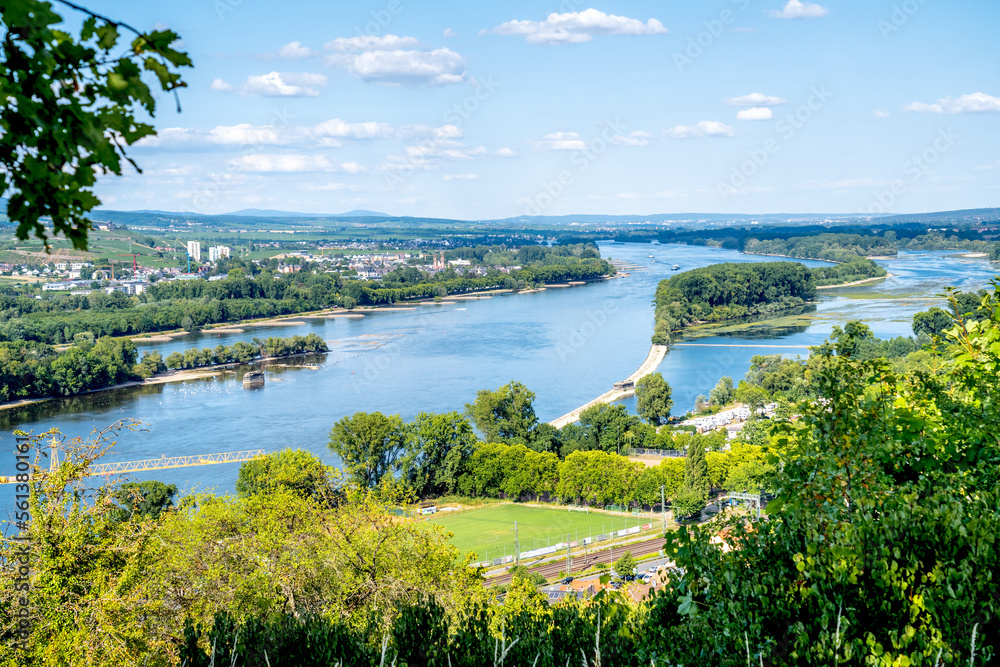 Blick über Rüdesheim und den Inselrhein vom Rochusberg, Bingen am Rhein, Deutschland 