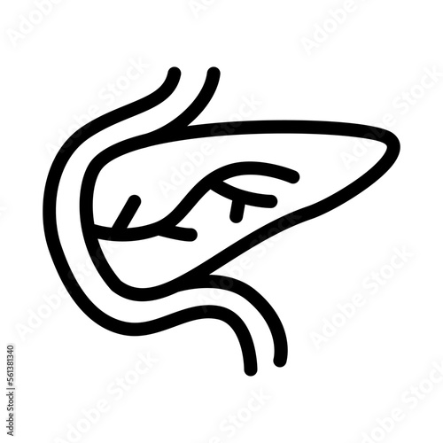 pancreas linear vector icon, vector illustration