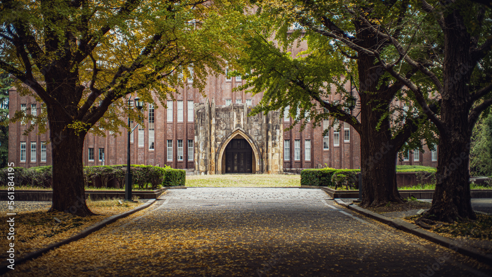 大学の講堂