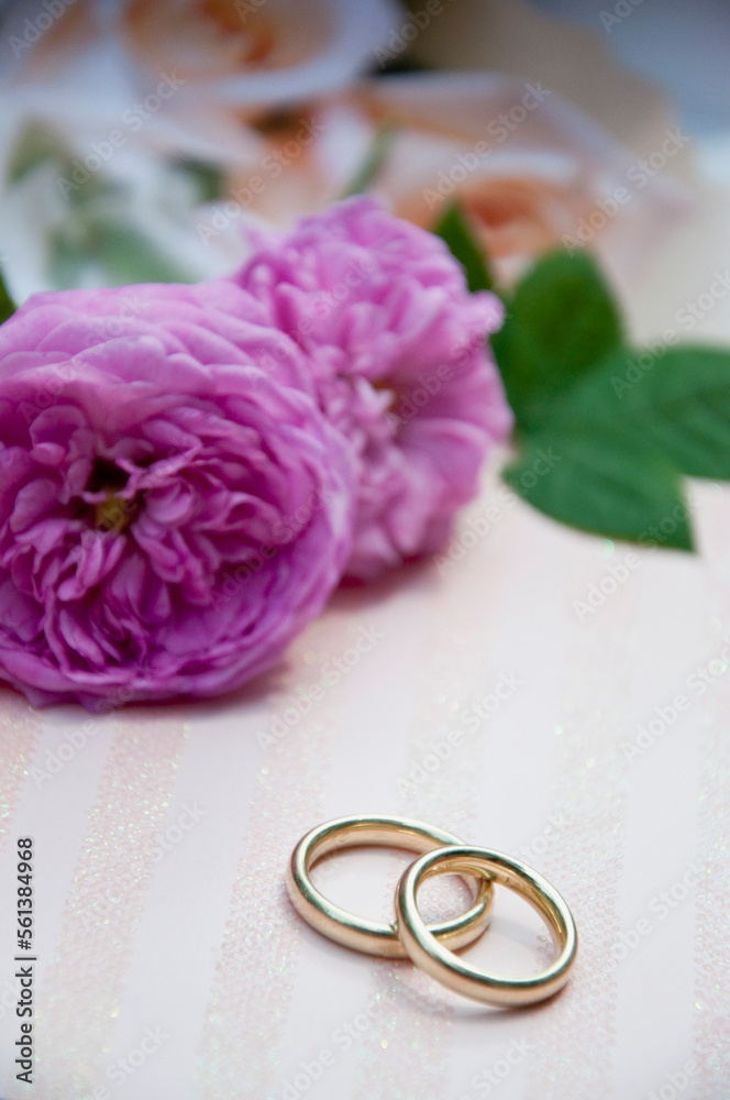 Wedding rings with roses in background, close up Wedding rings with roses in background, close up