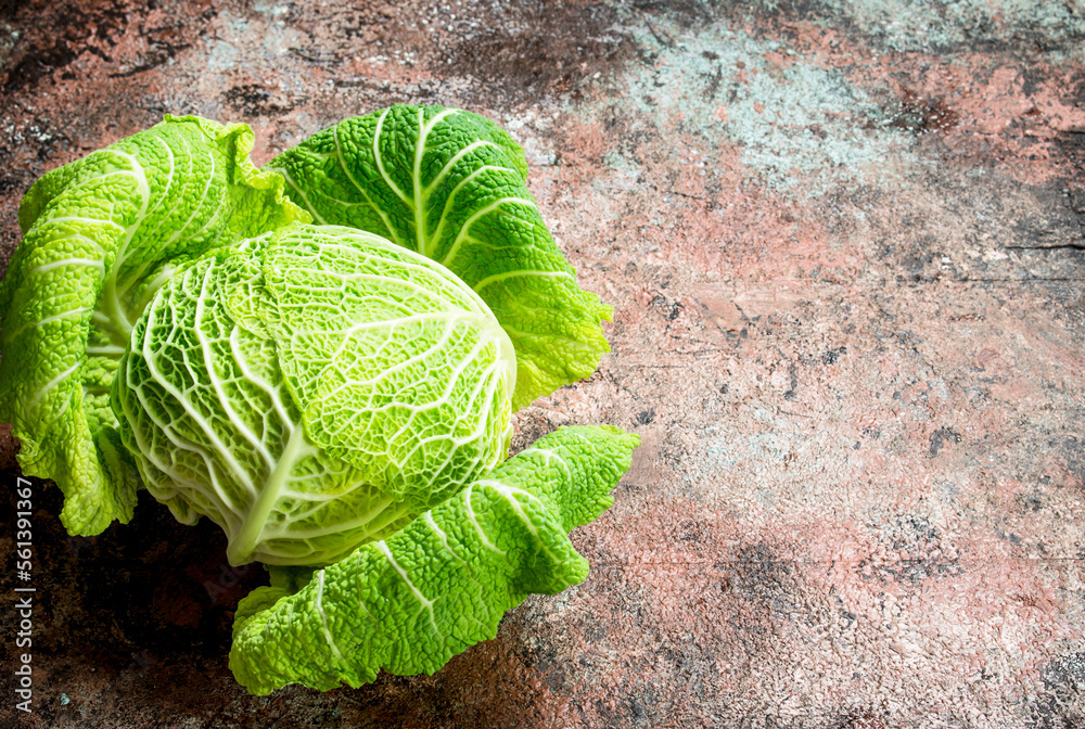 Fototapeta premium Fresh green cabbage.