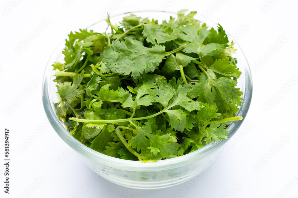 Fresh coriander leaves on white background. Fresh coriander leaves on white background.