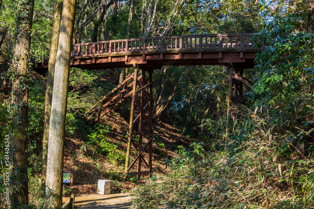 滝山城跡の木橋【国指定史跡】/Wooden bridge at the ruins of Takiyama Castle / Hachioji City, Tokyo, Japan 滝山城跡の木橋【国指定史跡】/Wooden bridge at the ruins of Takiyama Castle / Hachioji City, Tokyo, Japan