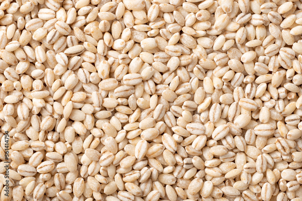 The food background of raw highland barley, top view.a The food background of raw highland barley, top view.a