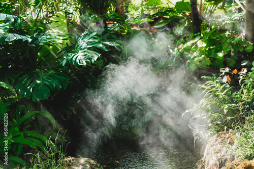 morning sunlight mist fog in park. foggy misty garden. water spraying from sprinkler for watering plant