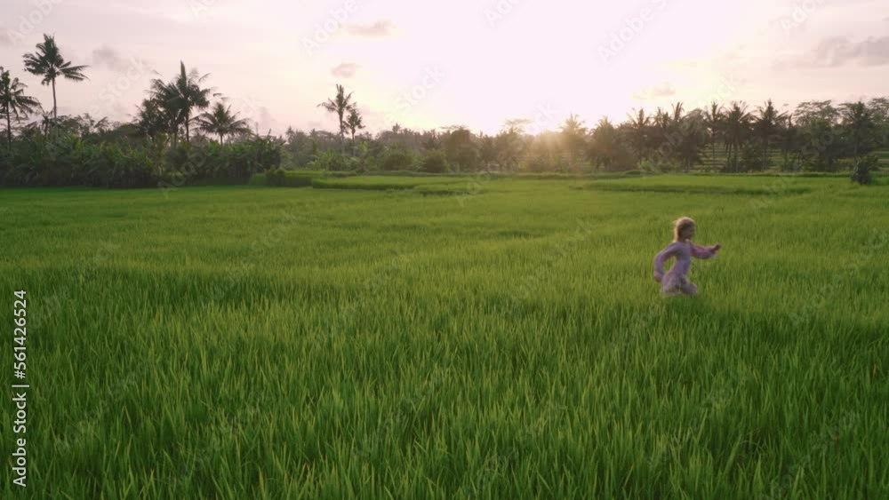 Happy teenage girl walks among the rice fields at sunset. She have a lot of fun, enjoying the beauty of nature and bright colors. 4K Happy teenage girl walks among the rice fields at sunset. She have a lot of fun, enjoying the beauty of nature and bright colors. 4K
