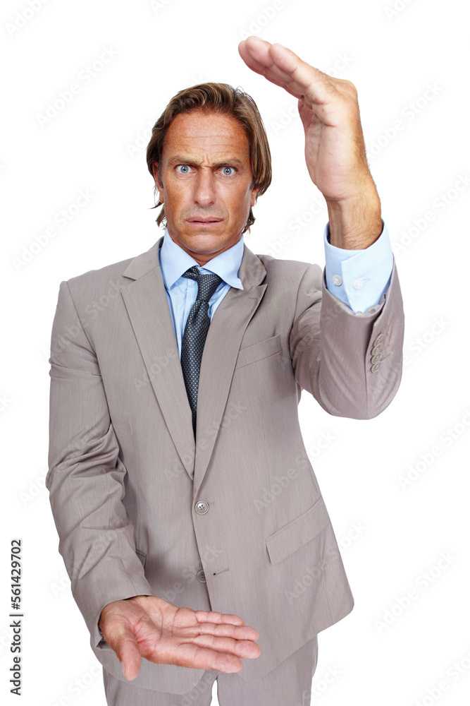 Portrait, hands and size with a business man in studio isolated on a white background for measuring. Review, scale and measure with a handsome male employee posing on blank space to measure Portrait, hands and size with a business man in studio isolated on a white background for measuring. Review, scale and measure with a handsome male employee posing on blank space to measure