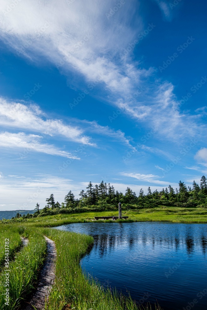 Fototapeta premium 会津駒ヶ岳〜中門岳の池塘