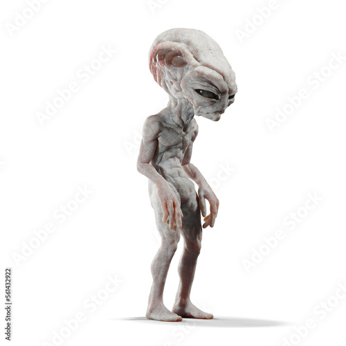 Fototapeta Naklejka Na Ścianę i Meble -  Gray Alien 3D CGI Render