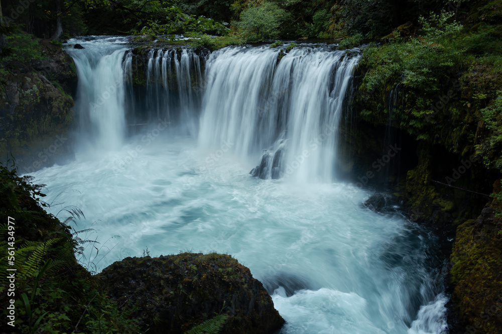 Fototapeta premium Waterfall