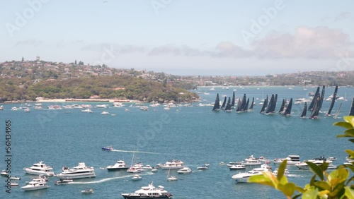 fleet in sydney to hobart yacht race maneuvers prior to the starting gun on sydney harbour, australia photo