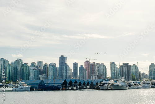 view of Vancouver skyline and Burrard Inlet from Stanley Park in autumn, Vancouver, British Columbia - sep 2019