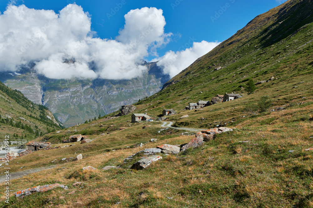 Chalets in the Vallon du Ribon (Graian Alps, Savoie, France)